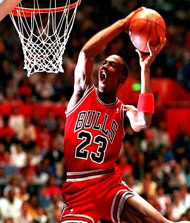 供了可持续 供了可持续